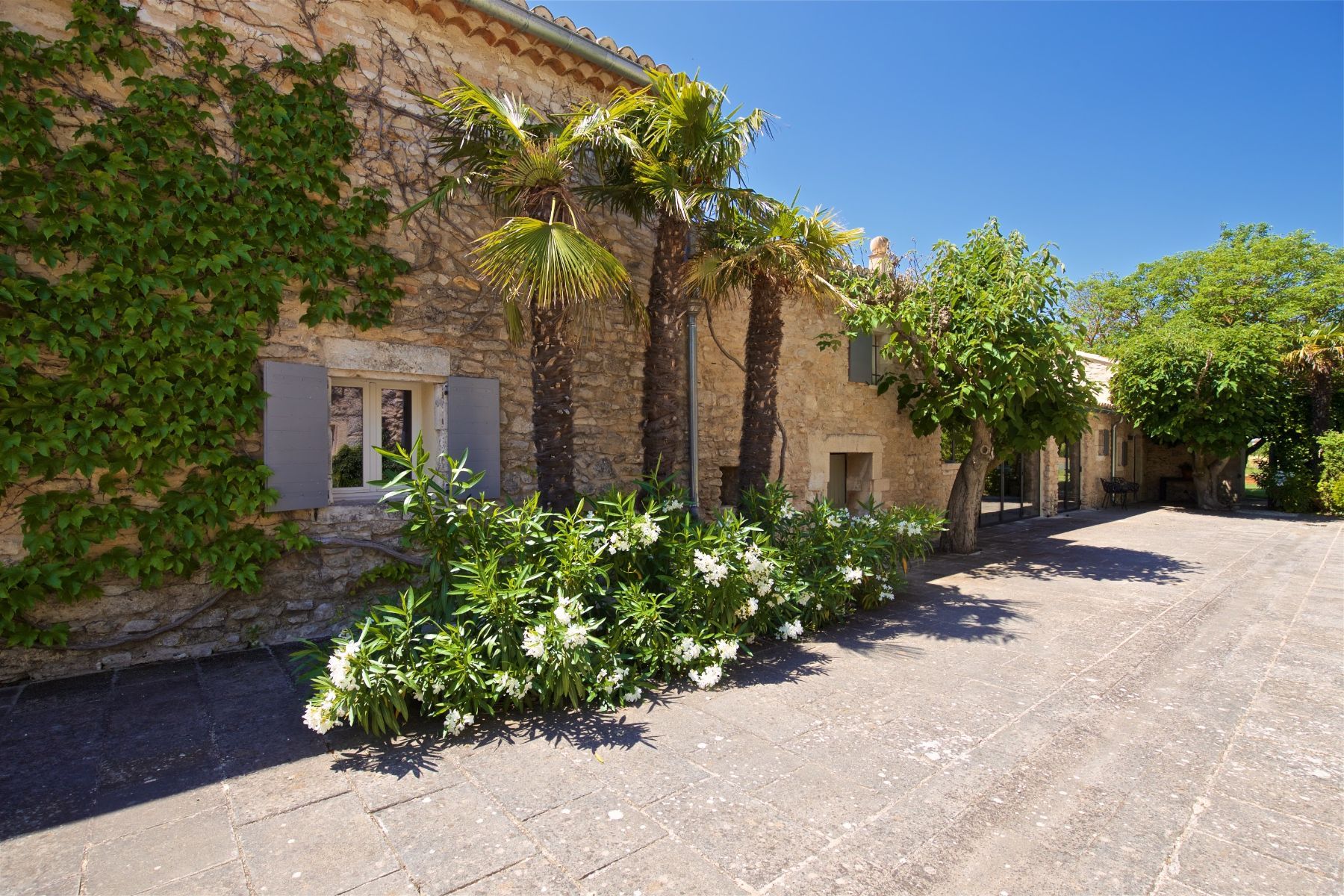 Le Mas des Lavandins villa photo.